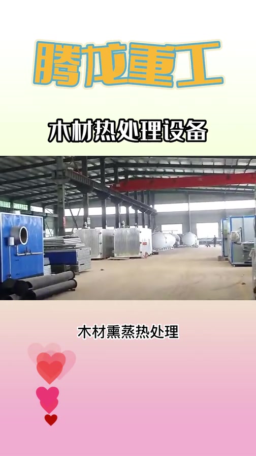 木材熏蒸热处理,延长使用年限,从而节约了木材。腾龙重工