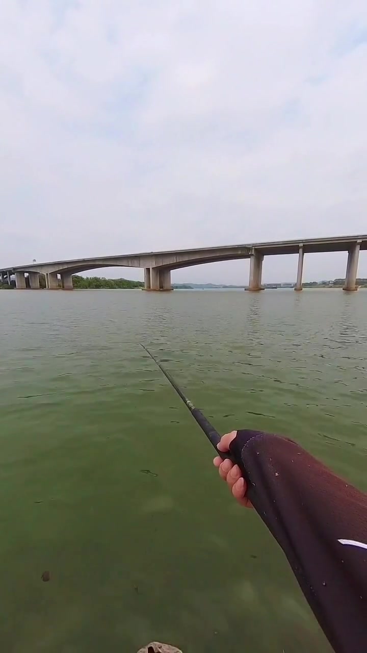 钓赤眼鳟鱼教程