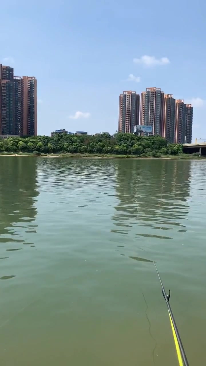 东莞石龙东江新钓位,听说都是大红眼,我也试试!
