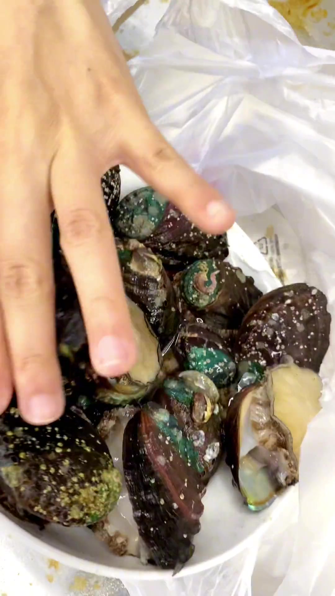 吃不完鲜活鲍鱼不知道怎么保存?今天来教家人们几招!鲍鱼没有不