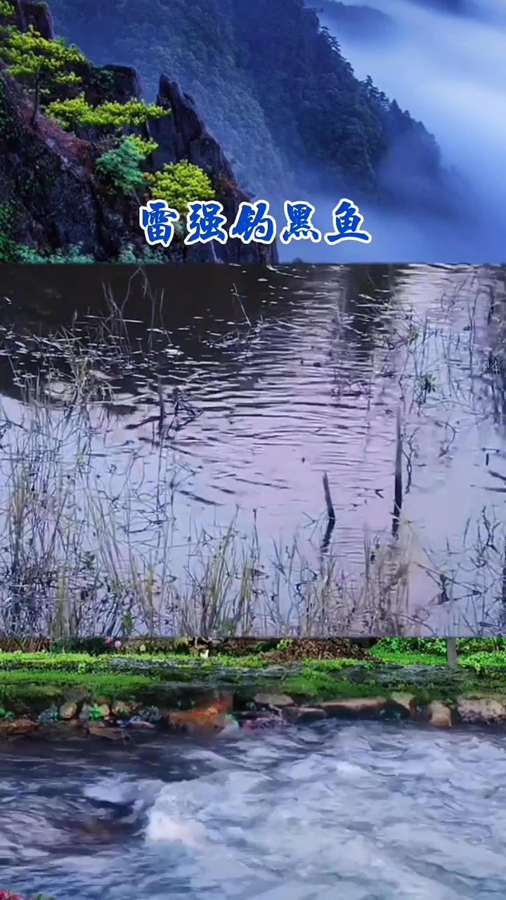 黑鱼不咬蛙或只咬一次是什么原因