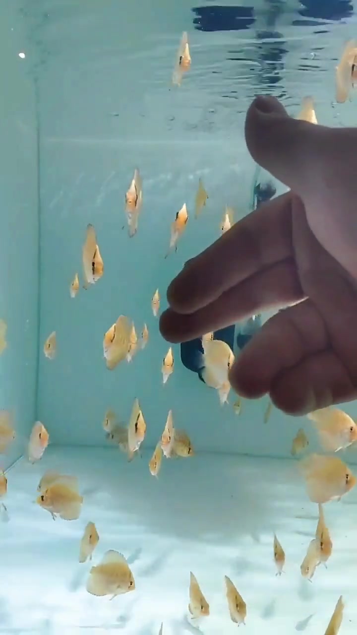 1月1日晚8点,首播!