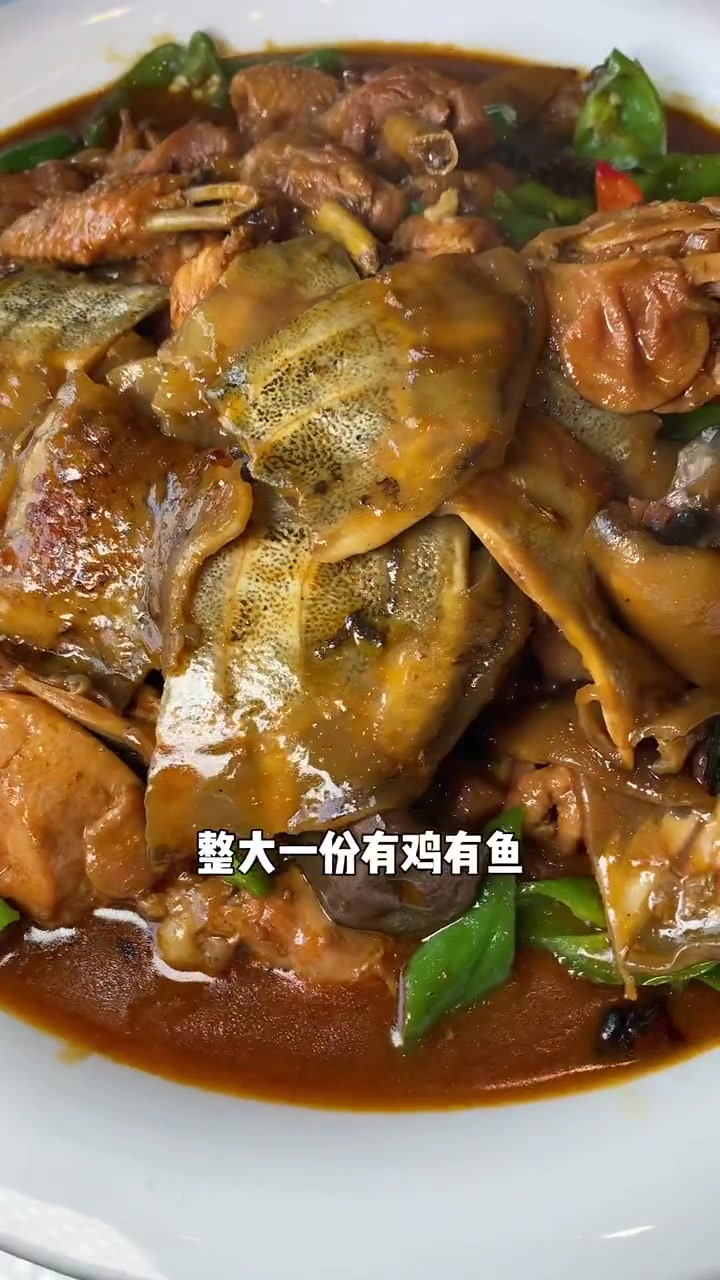 今天来整个甲鱼炖鸡,吃完能量满满一整天 美食探店 同城美食 甲鱼炖鸡