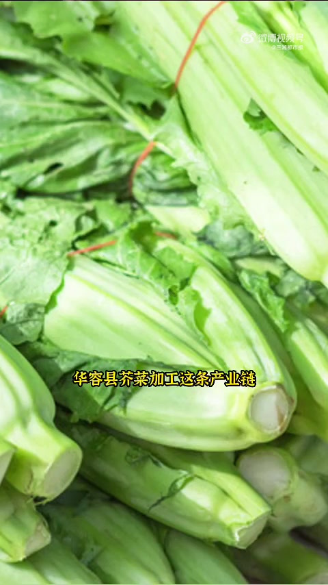 「军哥说新闻 那一坛酸菜还好吗?请再相信他们一次」去年央视3·15晚会曝光了“部分老坛酸菜