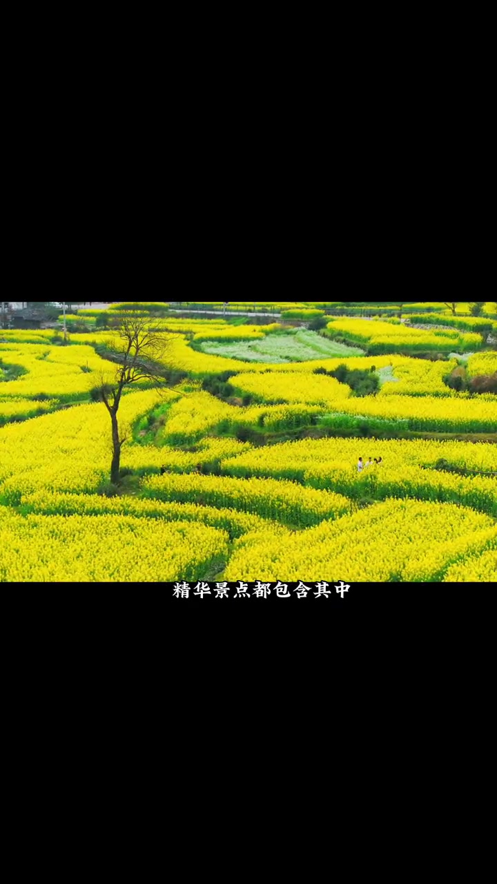 人均400如何玩转婺源2天一夜?最美婺源油菜花 婺源 婺源攻略大全 婺源旅行攻略