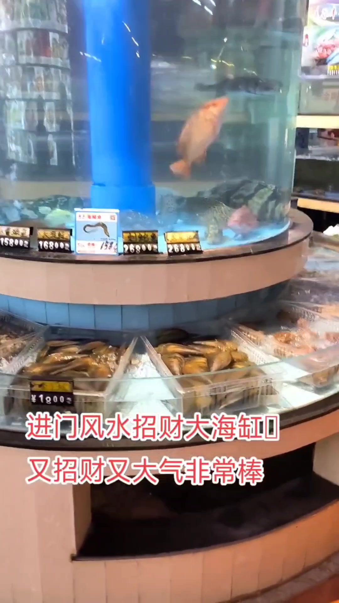 海鲜池-定制海鲜池-海鲜鱼缸-海鲜缸制作-海鲜鱼缸厂家-酒店鱼缸