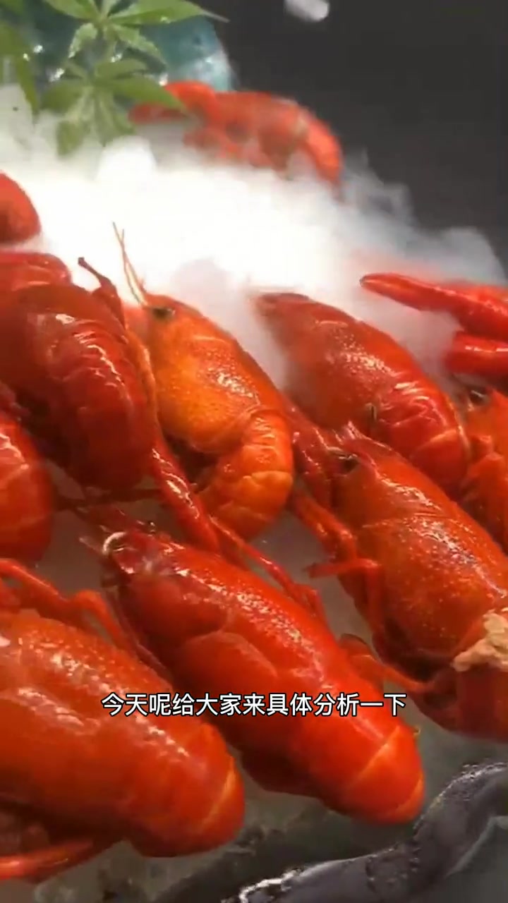 做小龙虾选择青壳虾好还是红壳的好