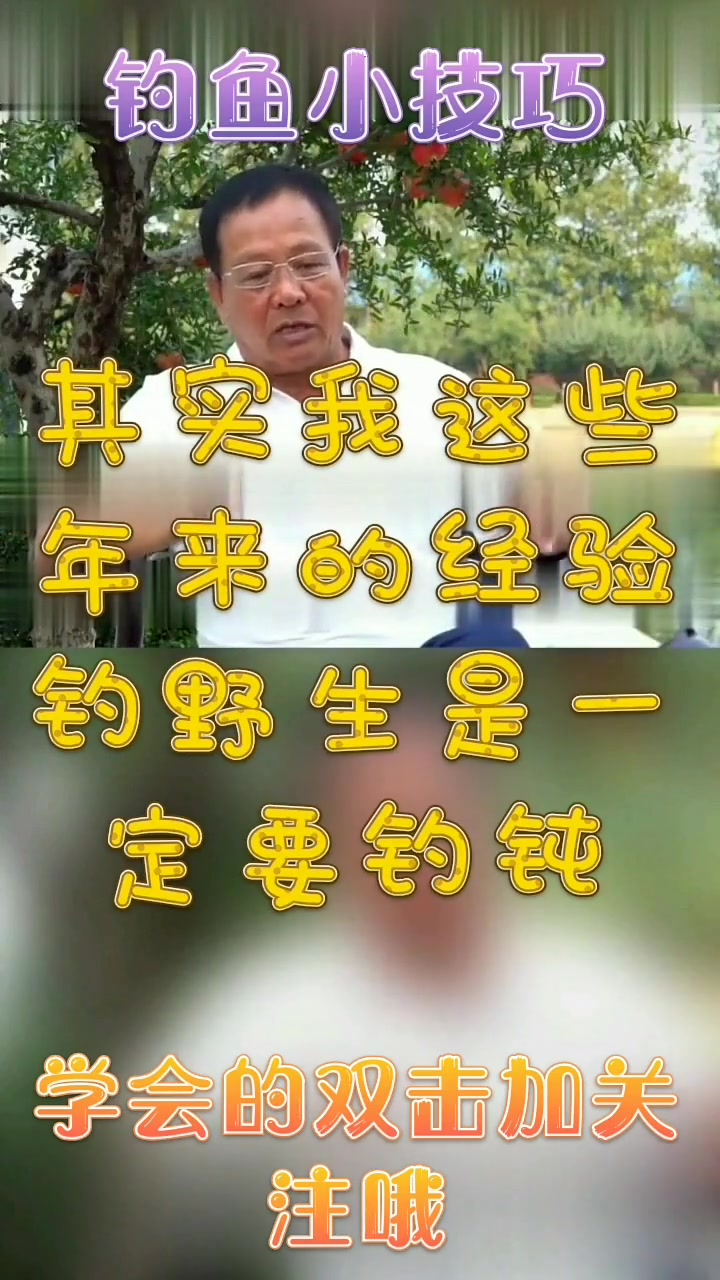 野生鲫鱼与养殖鲫鱼的嘴巴区别,如何调漂钓野生鲫鱼