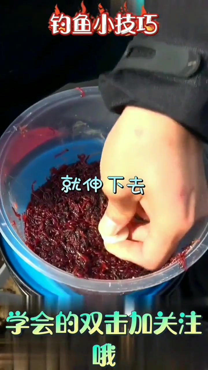 冬季用红虫钓鲫鱼最好不过了,上饵就是麻烦些,这种夹子上饵快哦