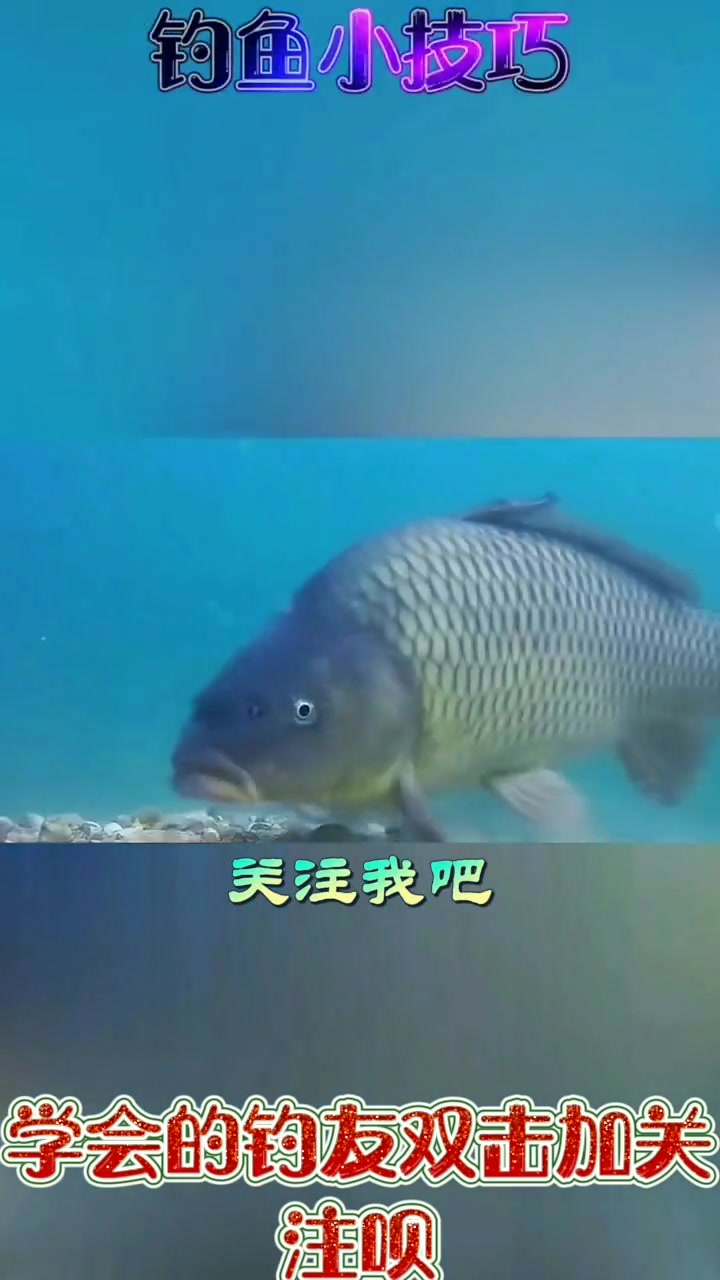 春钓如何选择正确的钓鱼钓位呢