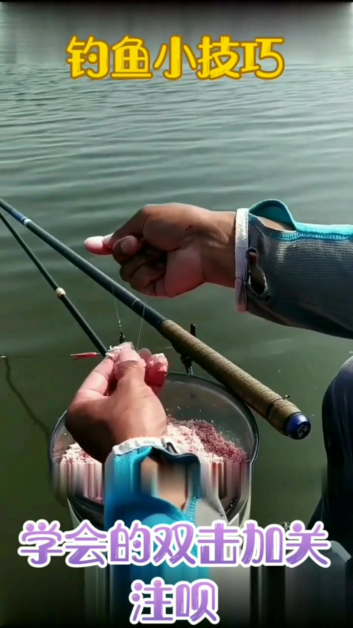 鲢鳙饵料的上钩技巧,你学会了吗?