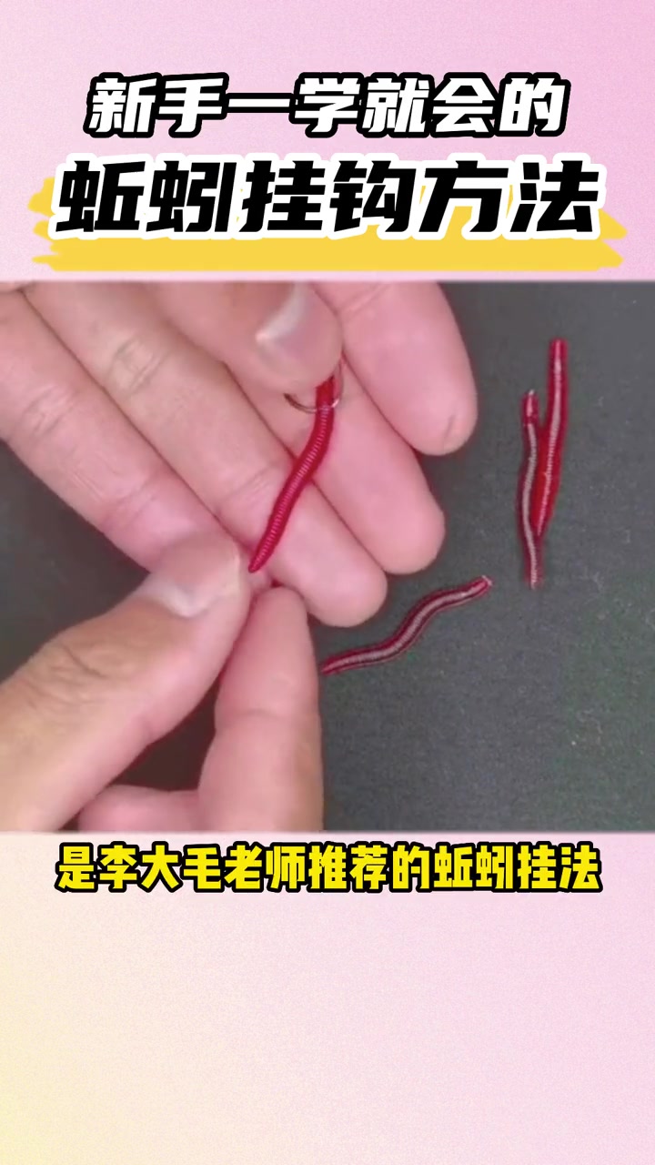 蚯蚓的挂钩方法你真的会吗