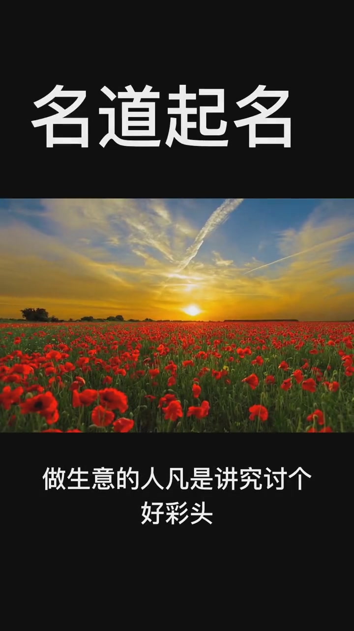 寓意一飞冲天的三字公司名字大全 起名 logo设计 品牌起名 取名