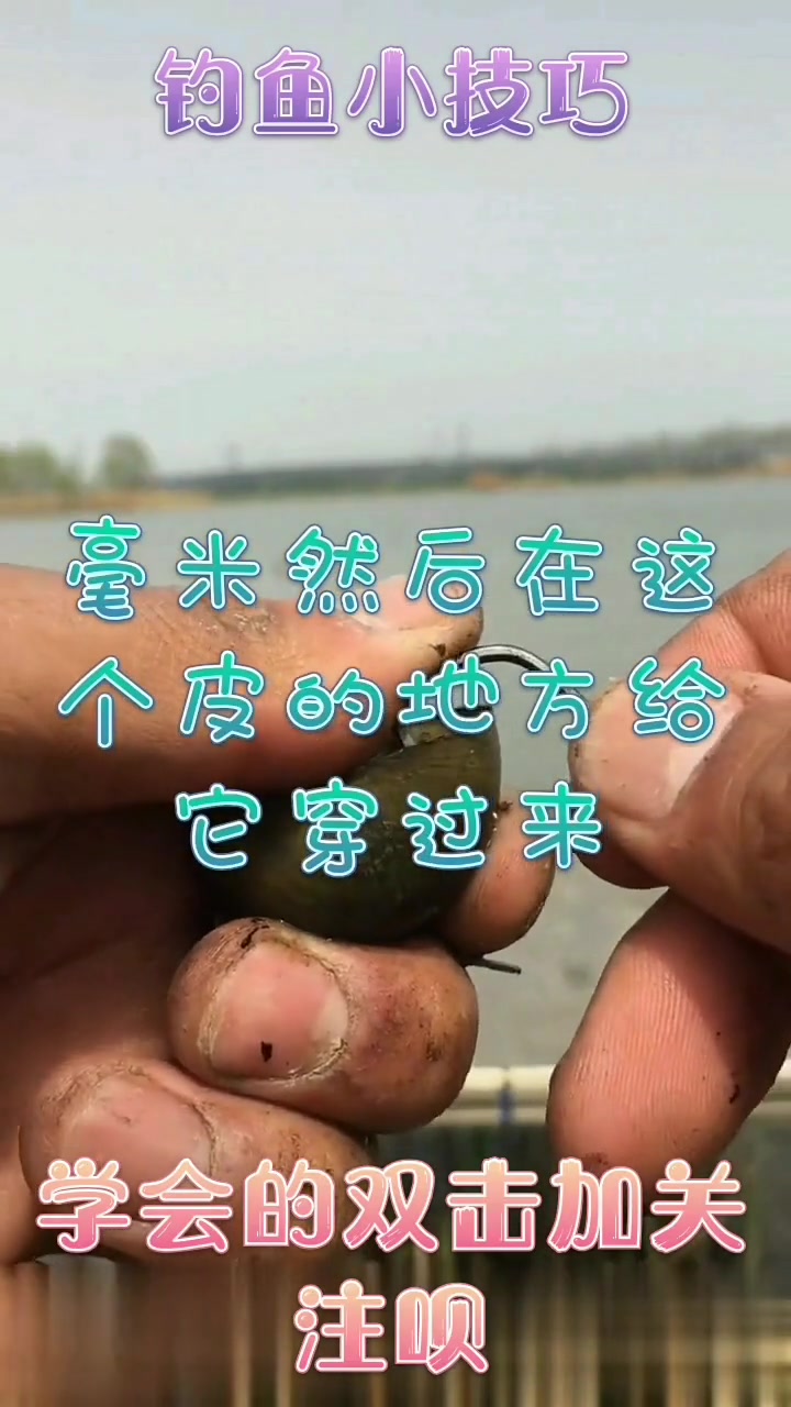 用螺丝钓大青鱼妥妥滴