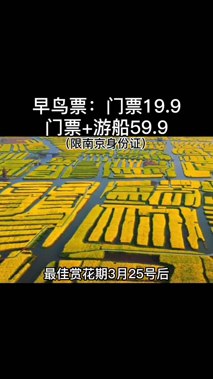 泰州水城水乡国际旅游节 千垛菜花旅游节 户外活动