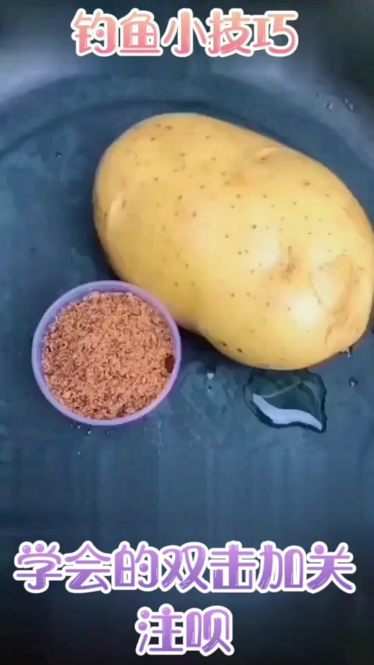 夏季通钓的鲫、鲤,的一款土豆自制饵料