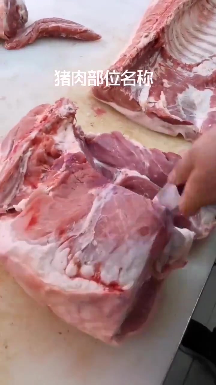 生活小常识:猪肉各个部位的名称!能认全的没几个……