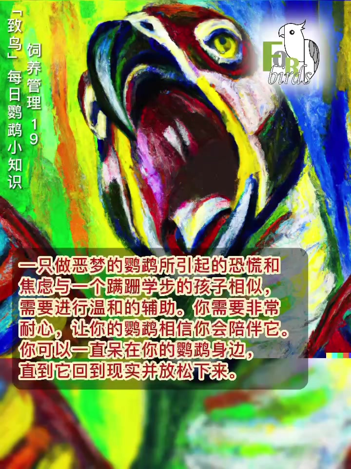 鹦鹉会做噩梦吗?怎么安抚做噩梦的鹦鹉?