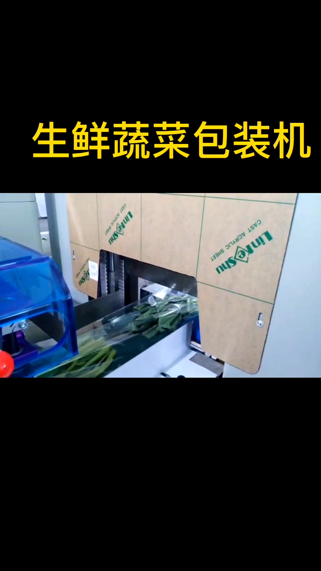 电商生鲜蔬菜包装机,食品包装机
