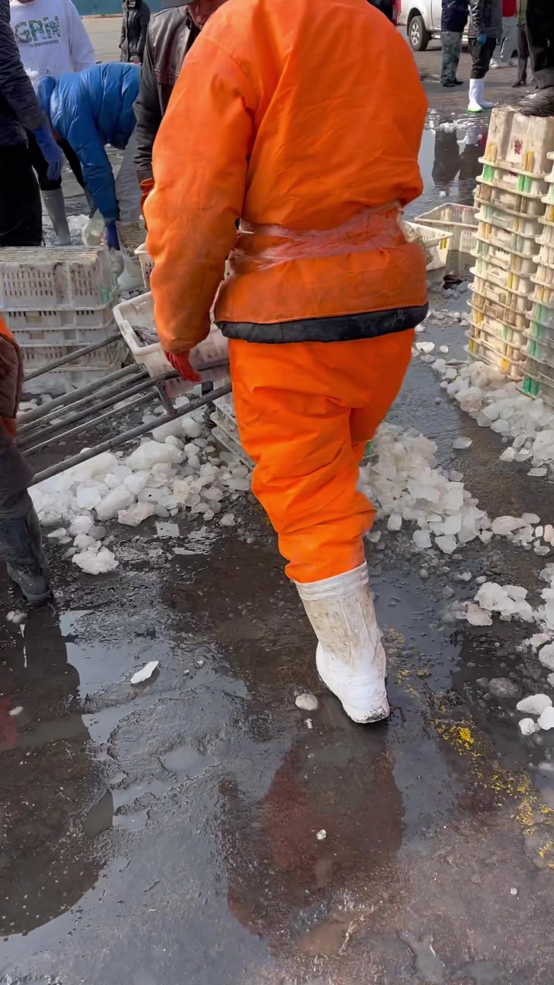 深海丑鱼装满一船