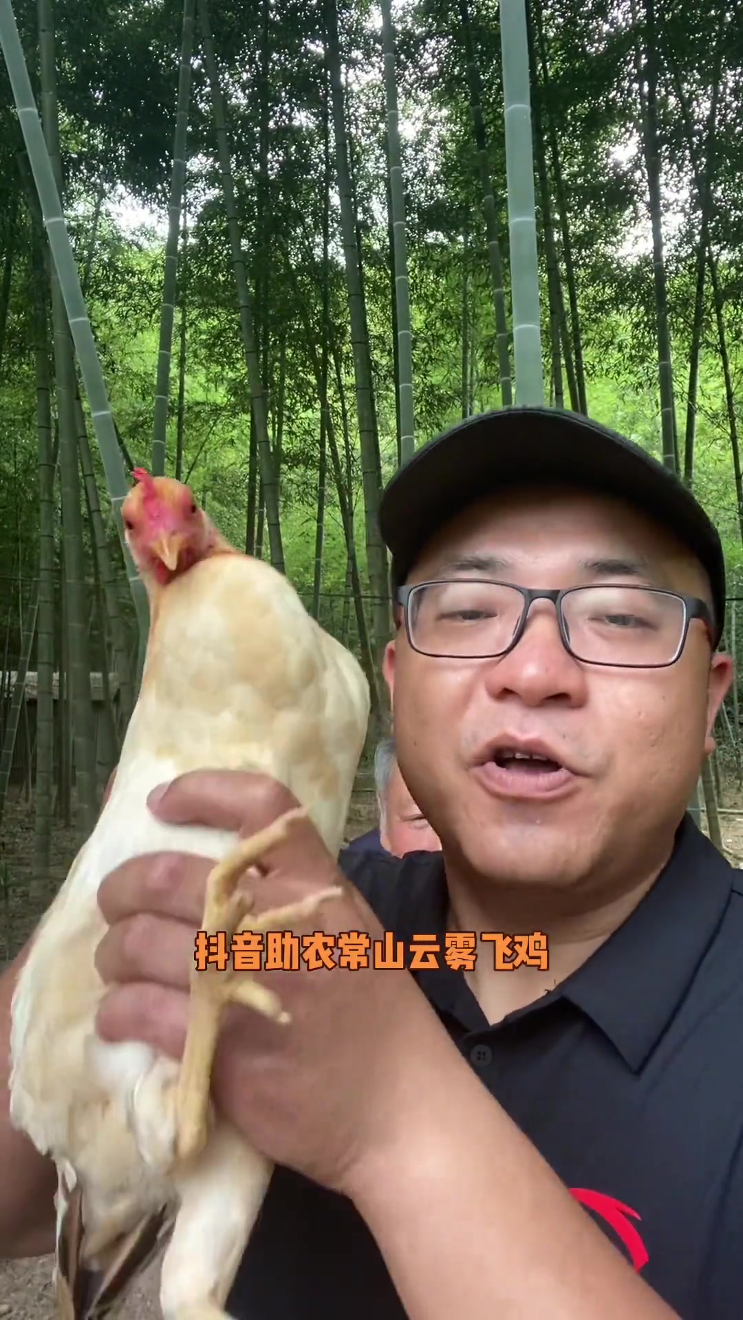 会飞的土鸡品种