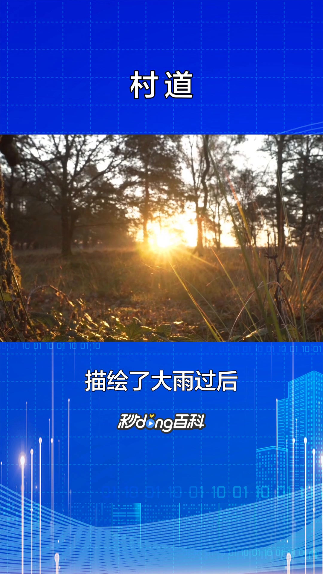 一分钟了解村道(萨符拉索作品)