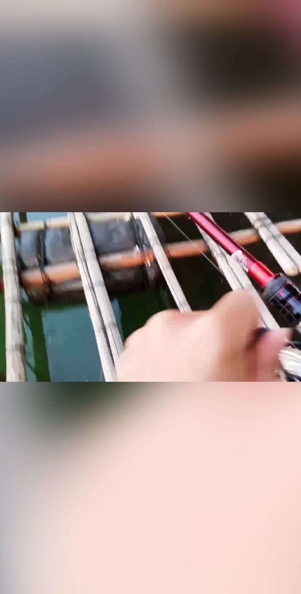 斤级黄腊鱼你拥有了吗