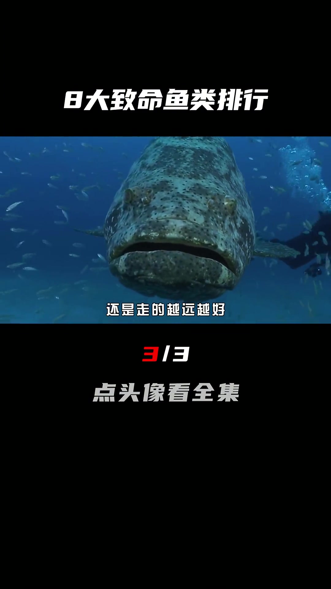 盘点世界8大致命鱼类,食人鱼只能排倒数,最后一种是男人的噩梦!(3/3)七鳃鳗 电鳗 河豚