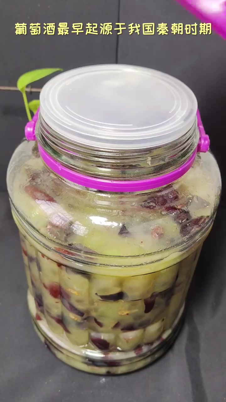 自酿葡萄美酒夜光杯