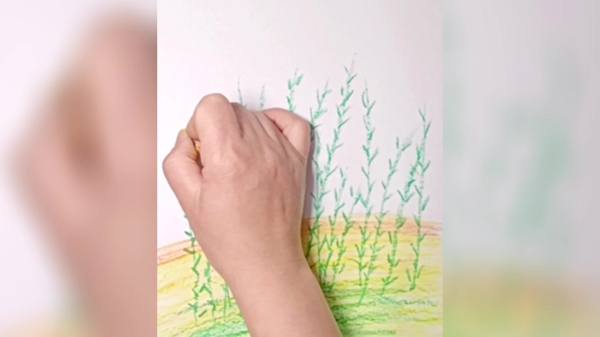 一起用油画棒来画油菜花吧~简笔画