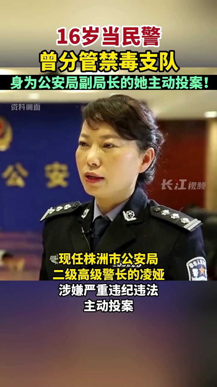 株洲市公安局原副局长凌娅主动投案!