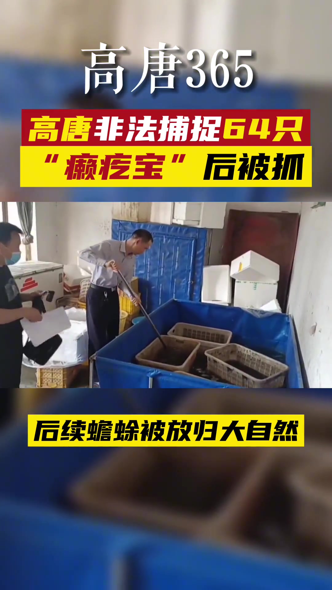 捕鱼:金蟾去哪了