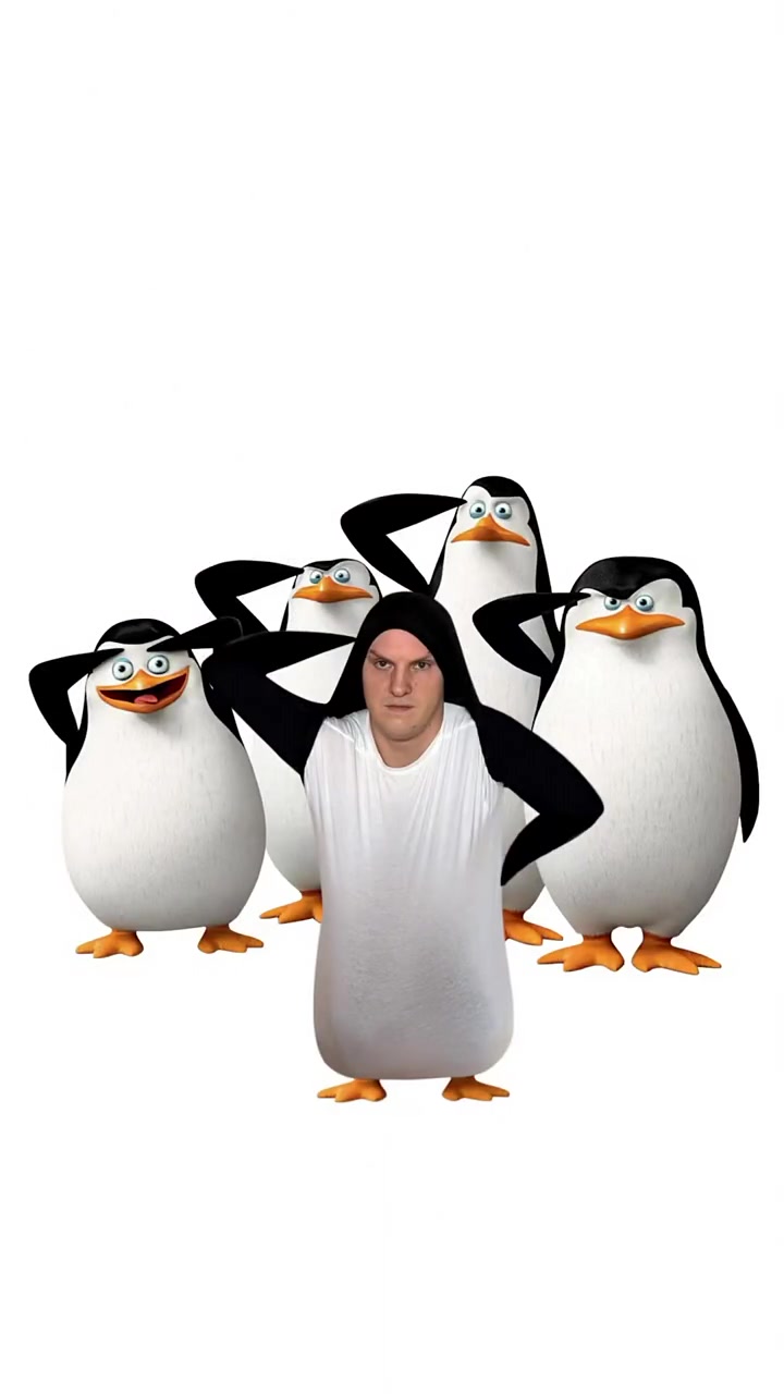 《马达加斯加的企鹅之他长鼻子不告诉另外四只企鹅的那些事》毛子一家生活点滴