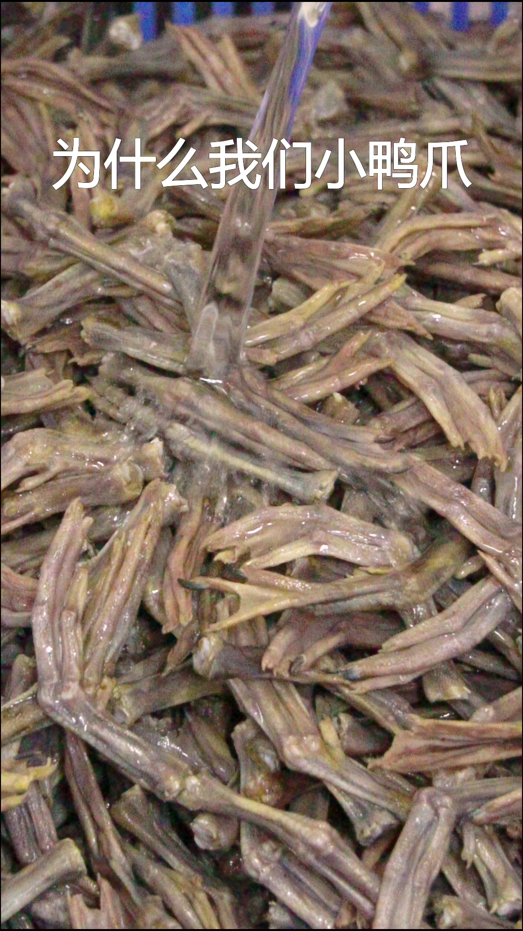 好吃到怀疑人生的特产小鸭爪原因再次说明一下