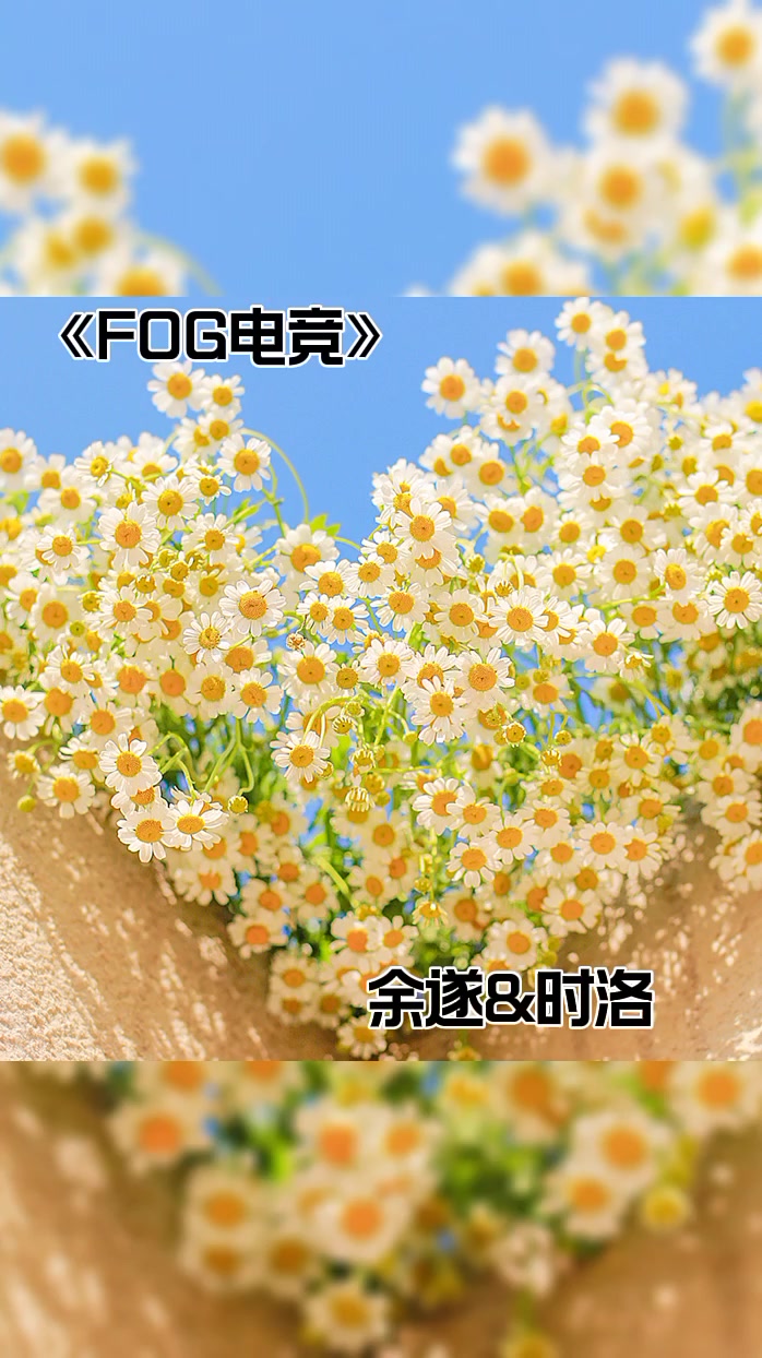 fog电竞