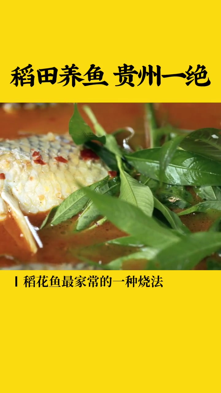 美食 达人成长计划 美味食鲜带您了解各地美食,让您在不经意间回忆起故乡的味道!美食 地方特