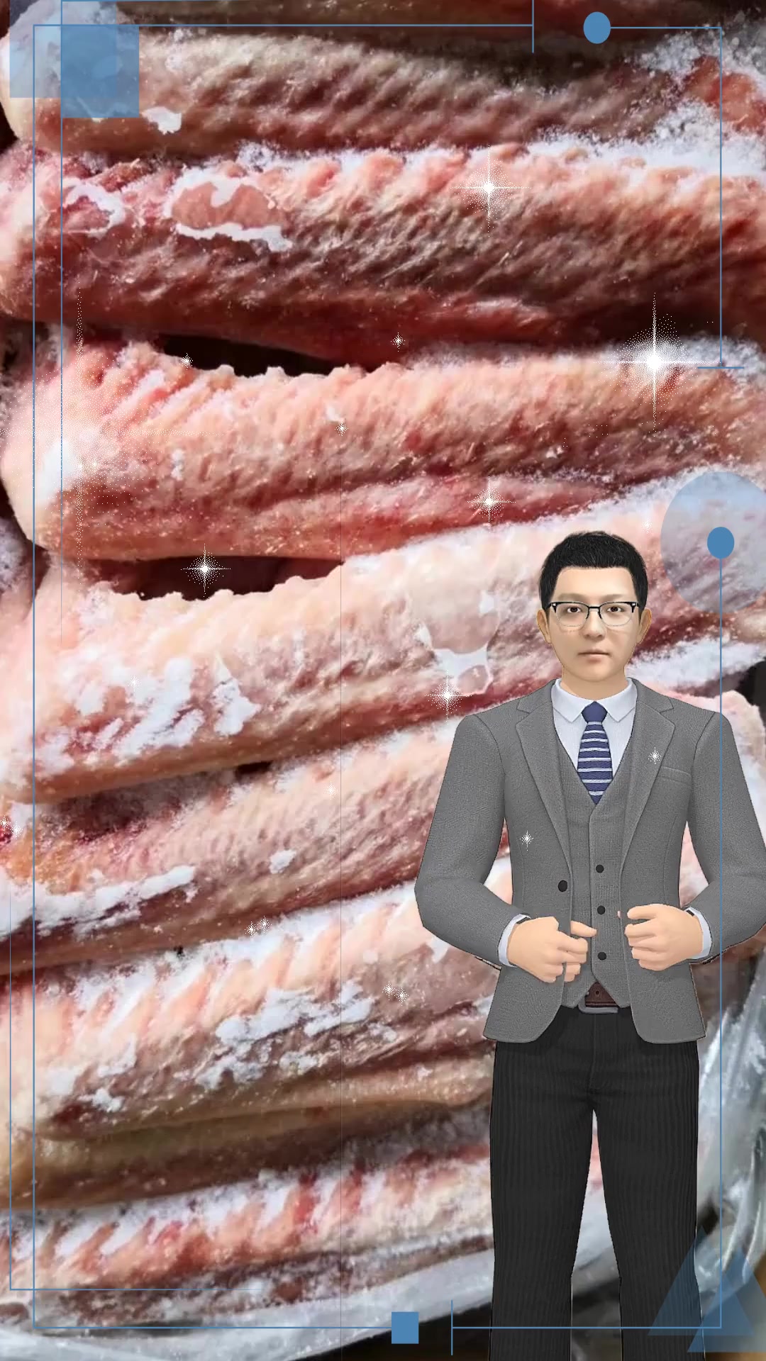 仔鹅、老鹅、大公鹅