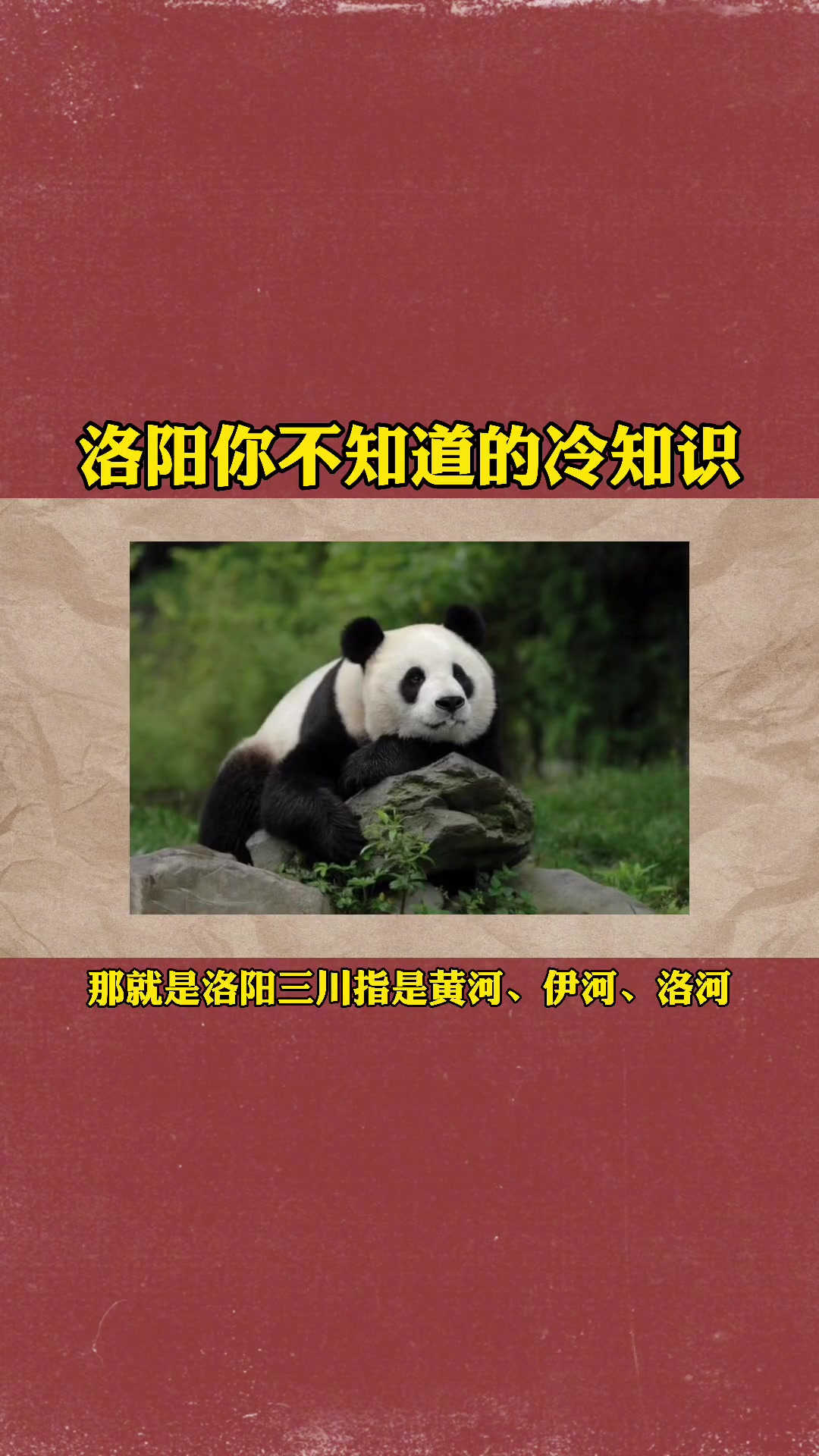 洛阳你不知道的冷知识 洛阳+小助手