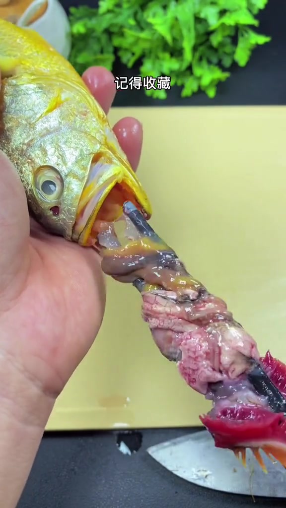 黄鱼干净的处理方法 海鲜 海鲜美食 黄花鱼 美食 美食教程