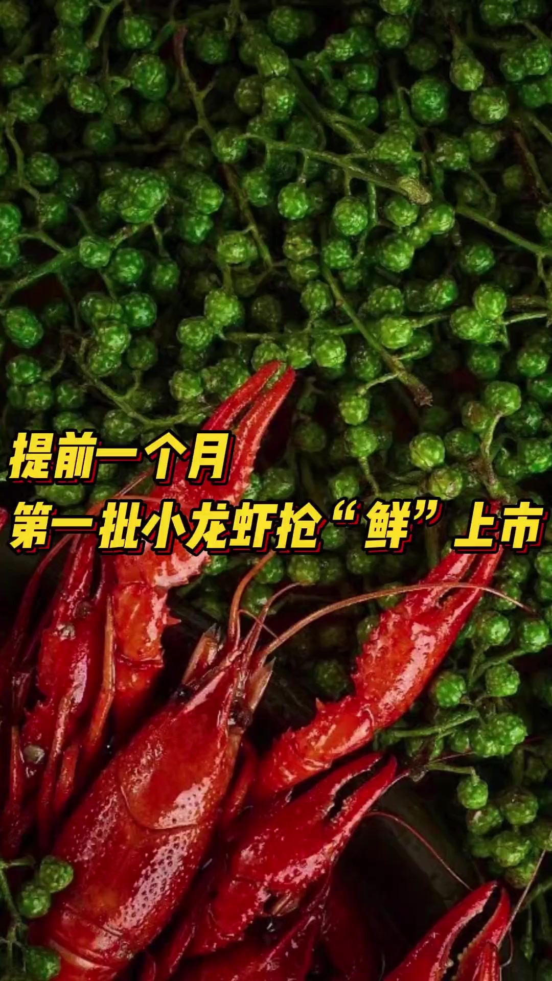 小龙虾抢“鲜”上市,价格有点“辣”