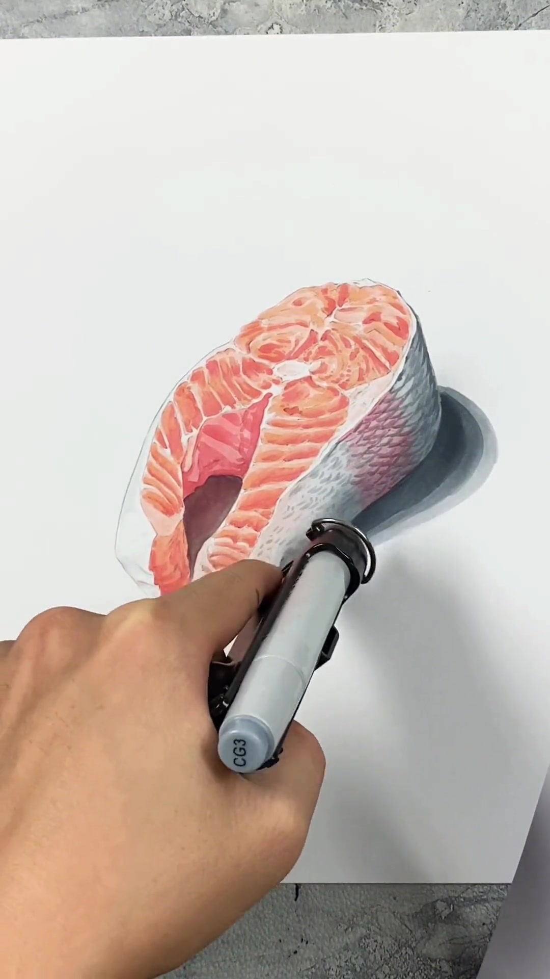 马克笔怎样画肉肉,来一块厚切三文鱼 一起学画画 马克笔 马克笔手绘