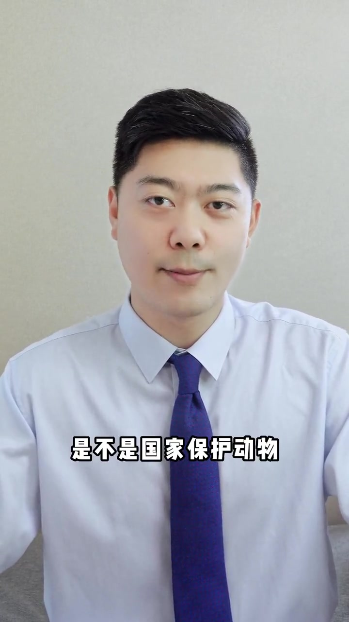直播吃鲨鱼,在法律边缘试探者终究会搬起石头砸自己的脚 2022 保护动物 直播