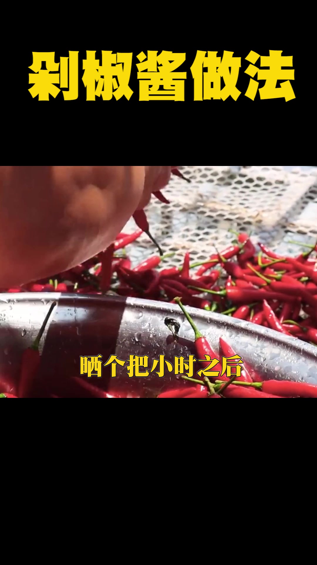 剁椒酱的做法,老铁要的都满足#吃货请留步杨胜杰 #自制辣椒酱