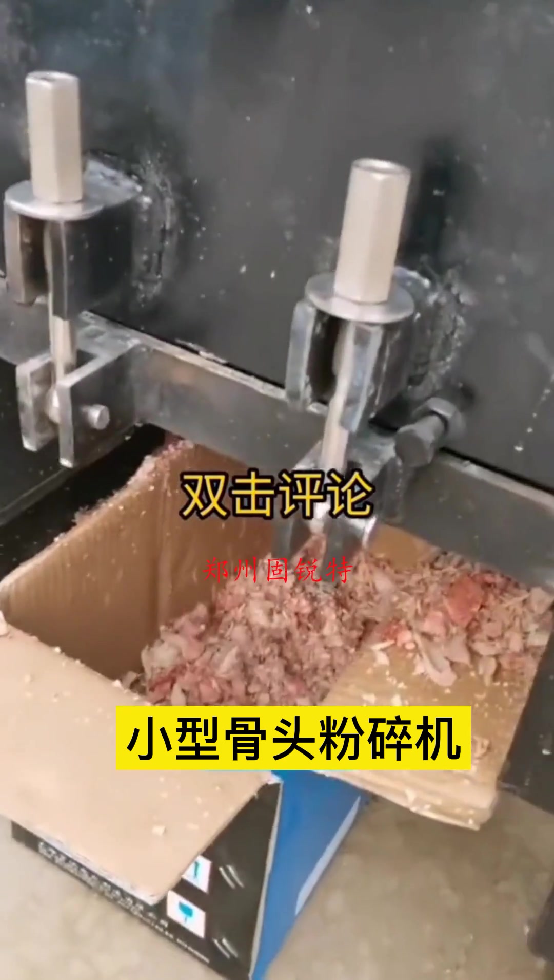 小型冻鸡骨粉碎机 猪棒骨打碎机 狗场用鸡架粉碎机