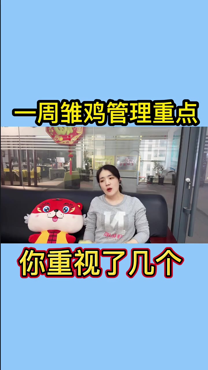 雏鸡一周关注重点有这几个