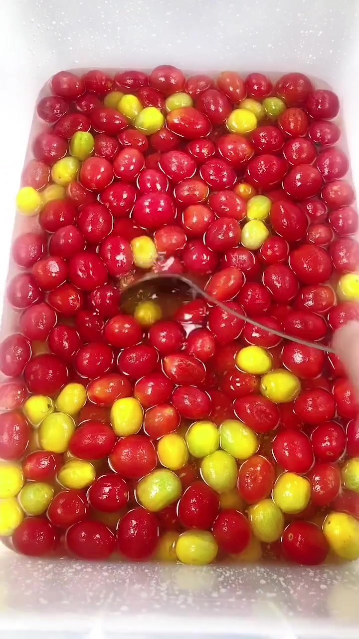 夏季必备菜品。桌桌必点