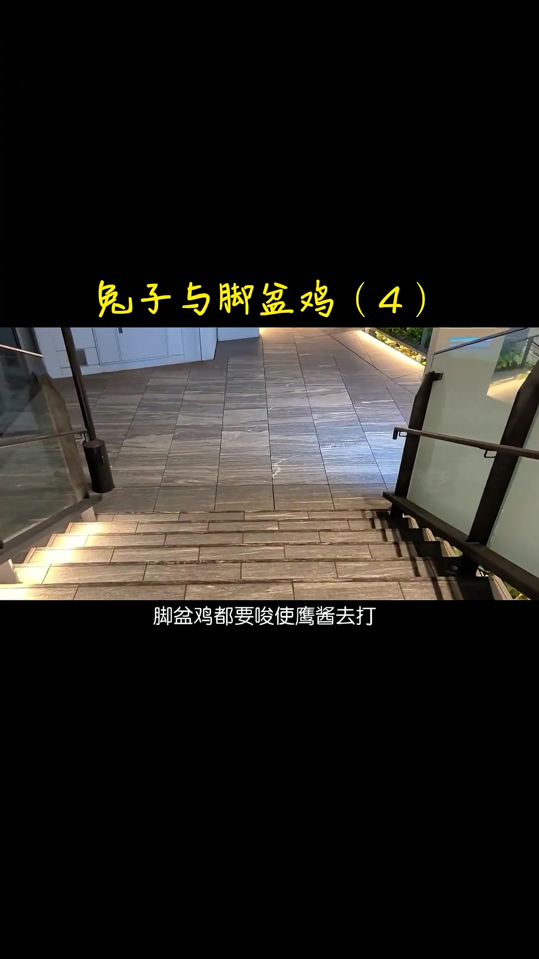 第14集|鹰兔之战(14)兔子与脚盆鸡(4)。那年那兔那些事 那年那兔 铭记历史