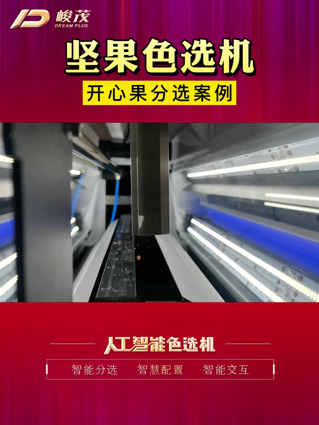 开心果色选分色机 坚果色选机夏威夷果松子腰果杏仁好坏筛选机器