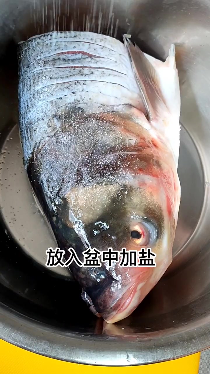 不吃辣的盆友有口福了清蒸大鱼头