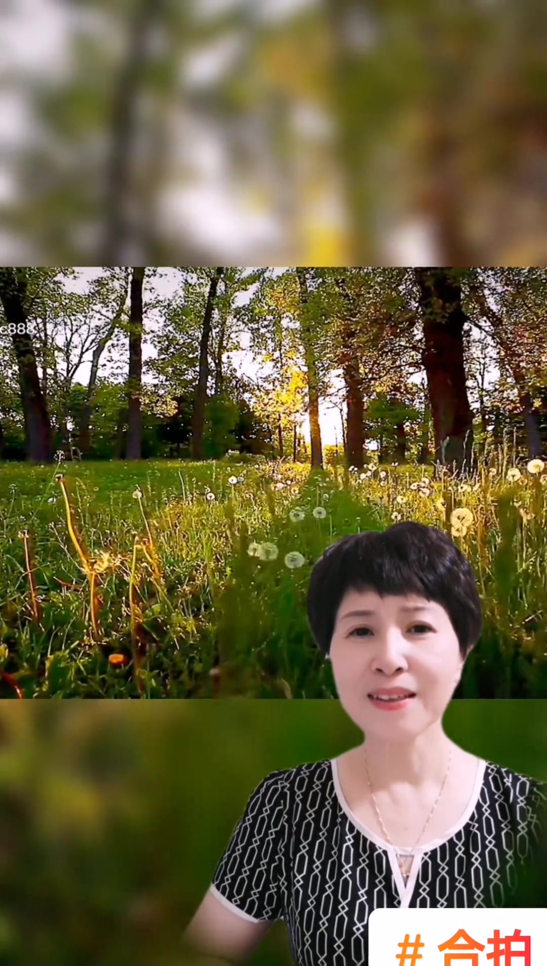 第151集|合诵《大鱼海棠》旁白 合拍 配音 治愈语录